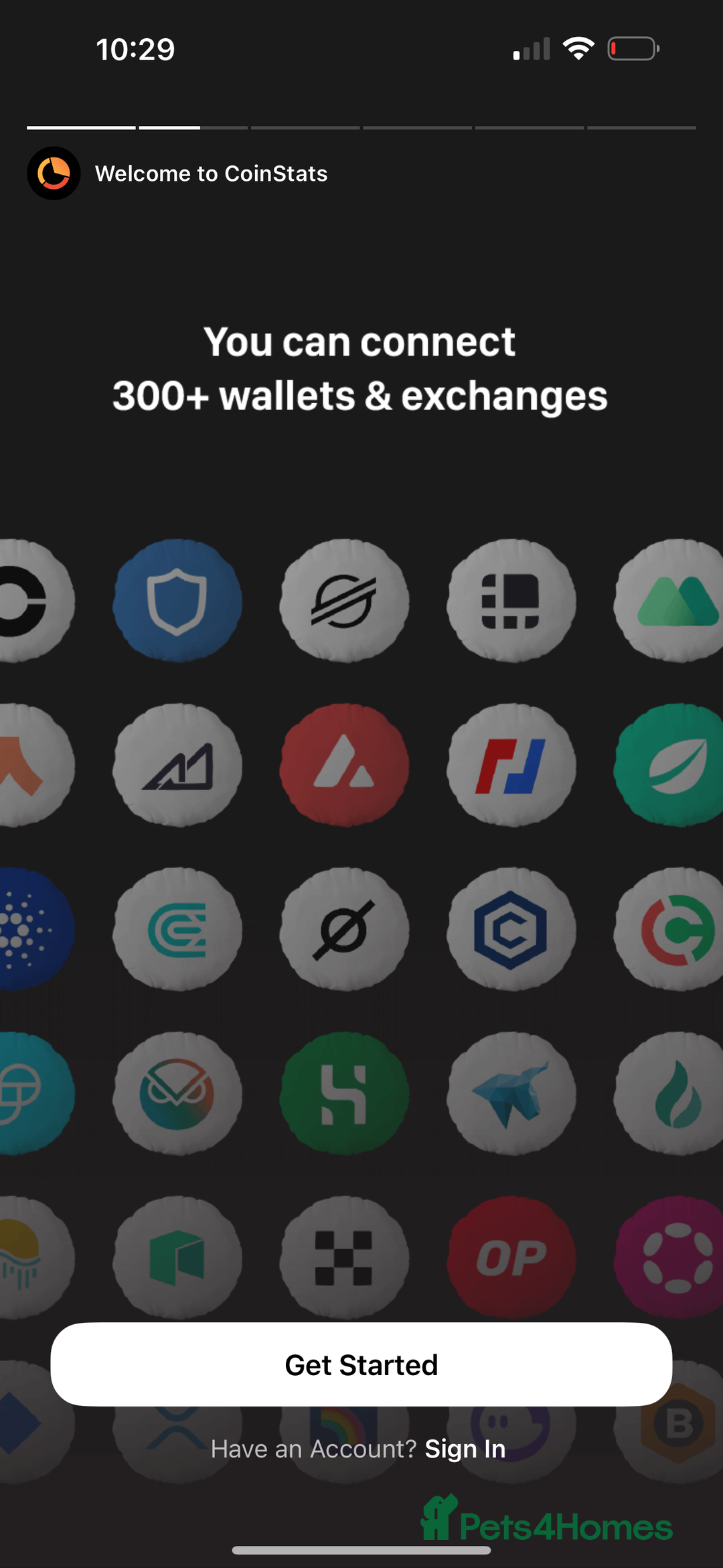 Mixed Breed cats for sale: Half British short haired  - Advert 6