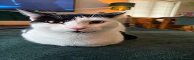 Gary