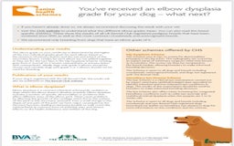 Labrador Retriever dogs for sale: Plump little Red Labrador Puppies! - Image 7