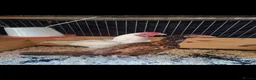Chickens poultry for sale: Fighting Aseel  in Halifax - Advert 1