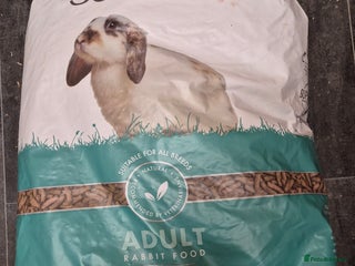 Mini Lop rabbits Supreme science selective rabbit food - Advert 14