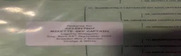 Lagotto Romagnolo dogs for stud: Lagotto ramagnolo for stud  - Advert 4