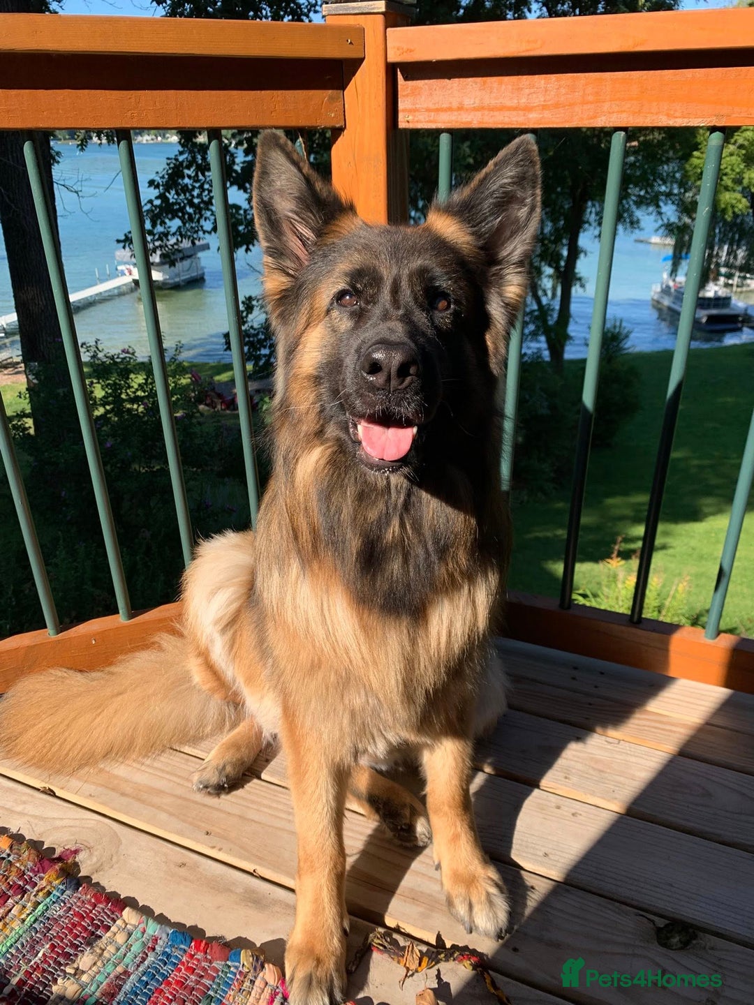 Gallery Image {{count}}