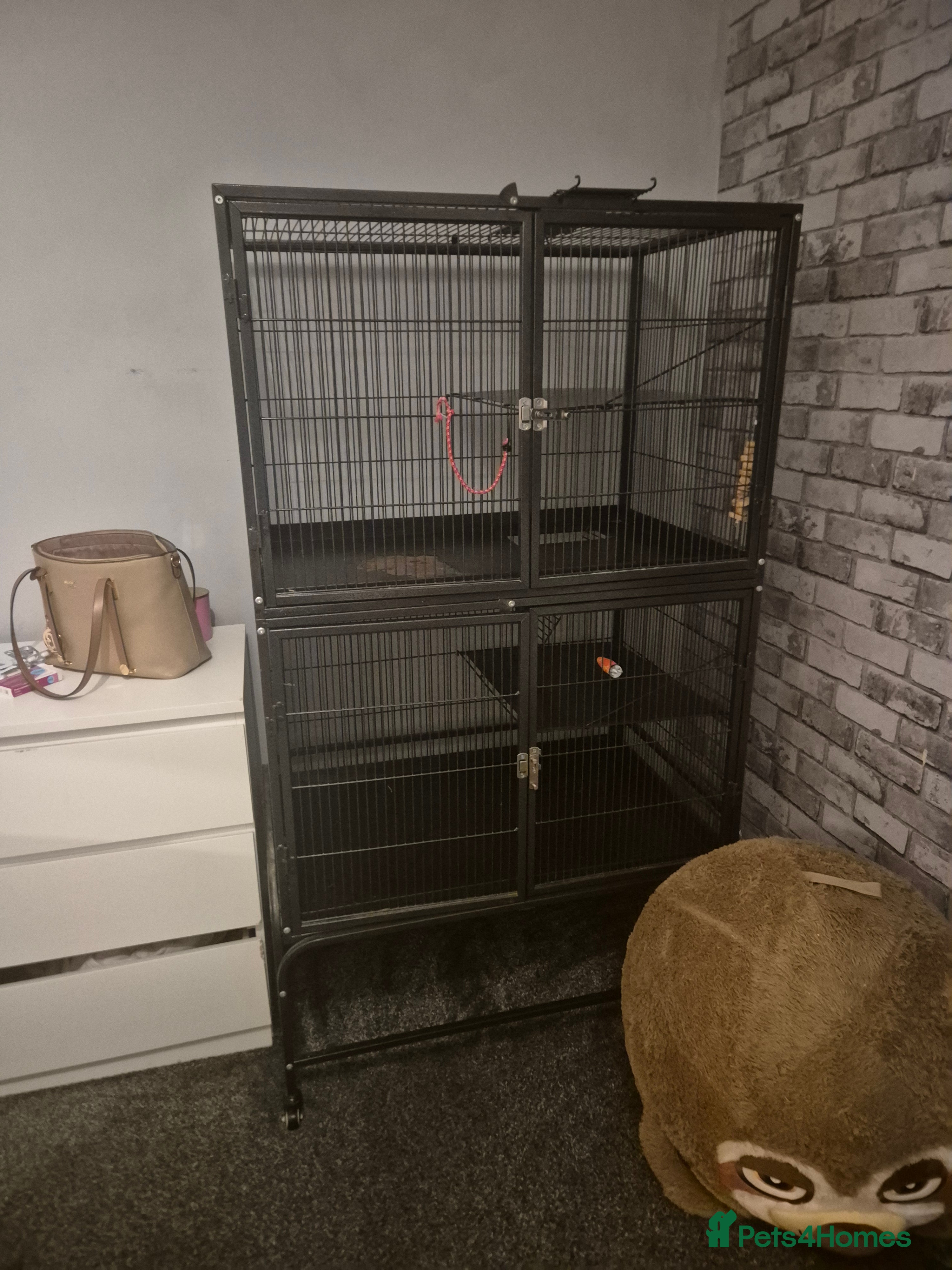 Chinchilla rodents Large cage for sale '£70  - Advert 5