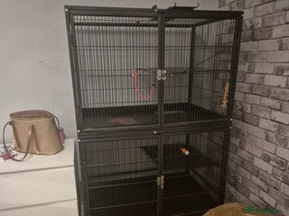 Chinchilla rodents Large cage for sale '£70 - Advert 16