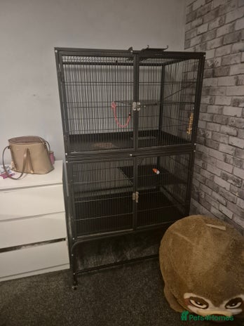 Chinchilla rodents Large cage for sale '£70 - Advert 11