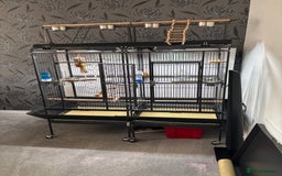 Parrots birds for sale: Large Parrot Cage - Image 10