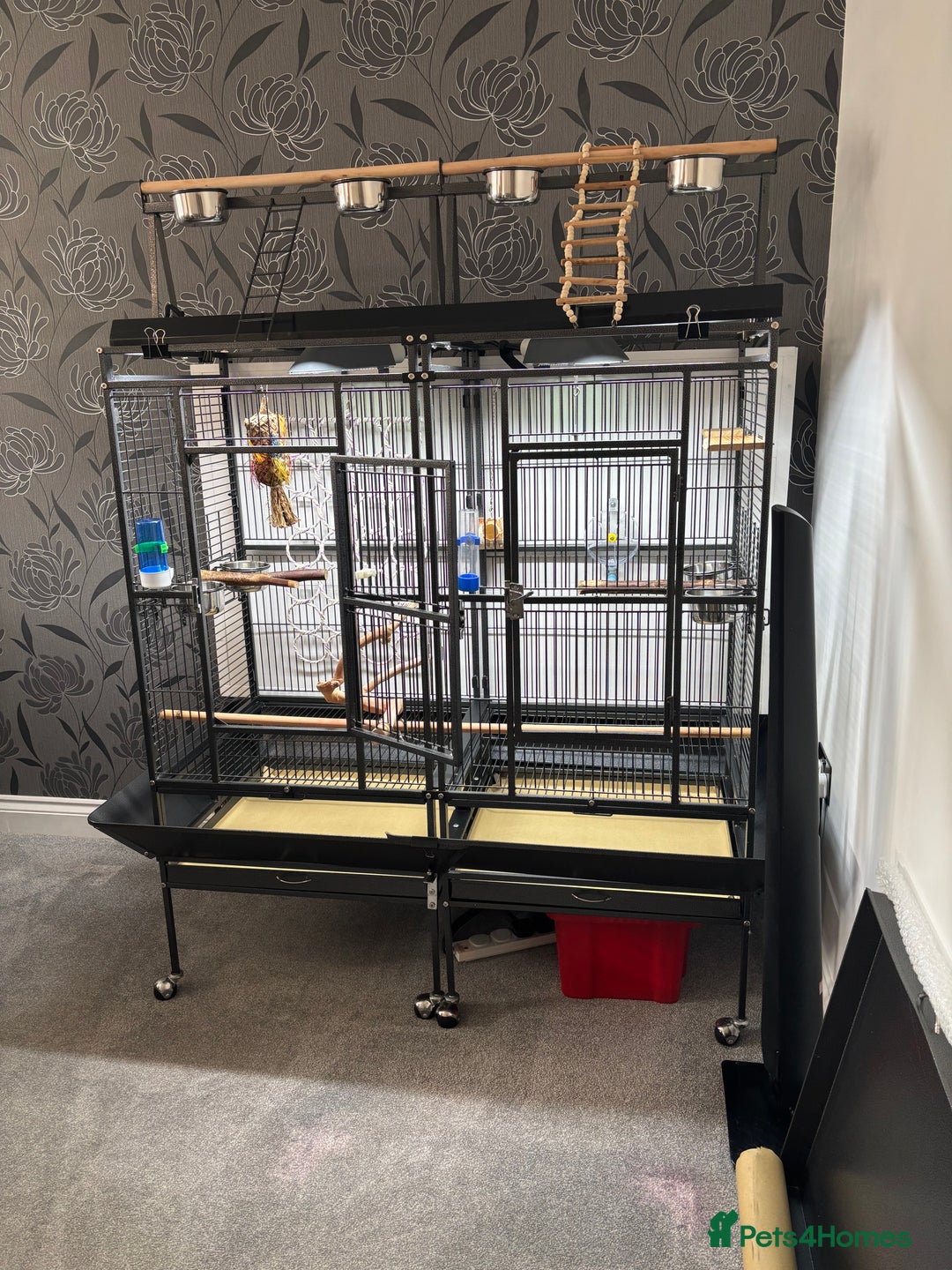 Parrots birds for sale: Large Parrot Cage - Image 10