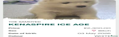 Ice Age 