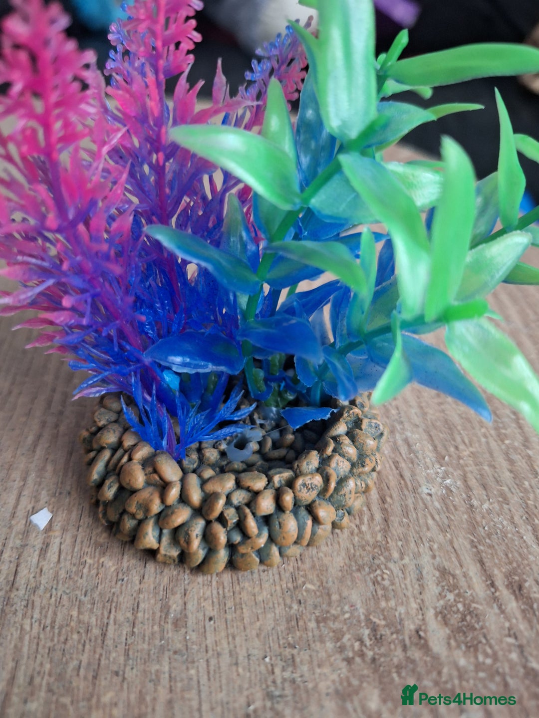 Other/Mixed Breed fish for sale: 60ltr Fishtank with Accessories Only - Image 7