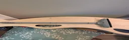 Tetras fish for sale: Well Established Fluval Fish Tank in Runcorn - Advert 15