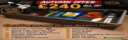 Tortoise reptiles for sale: BABY HERMANNS AND SET UPS - Advert 3