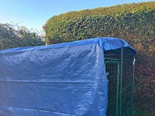 Ducks poultry Omlet 8x8x8 run & 4 ducks - Advert 1