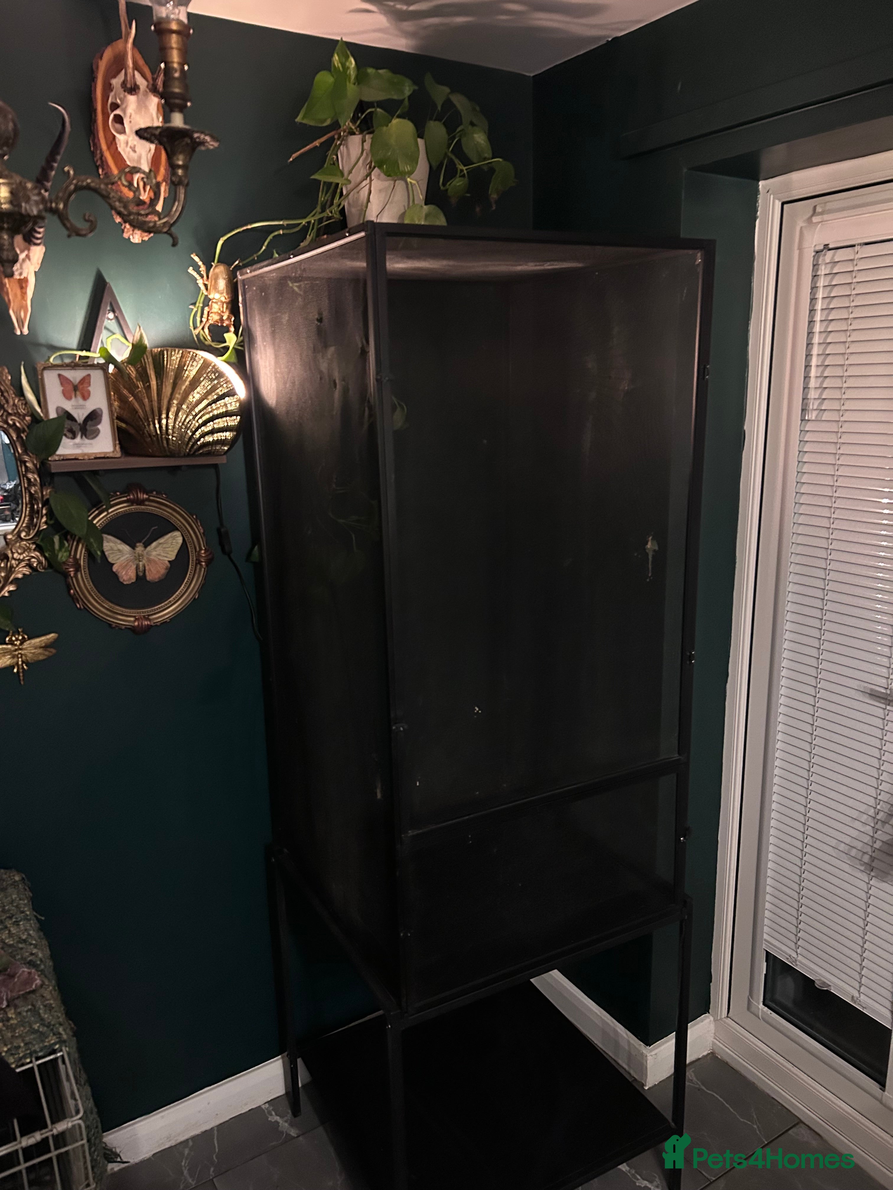 Chameleon reptiles Chameleon cage XL reptibreeze  - Advert 1