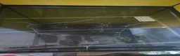Gecko reptiles for sale: 1 year old Gecko and the complete enclosure set up in Londonderry - Advert 5