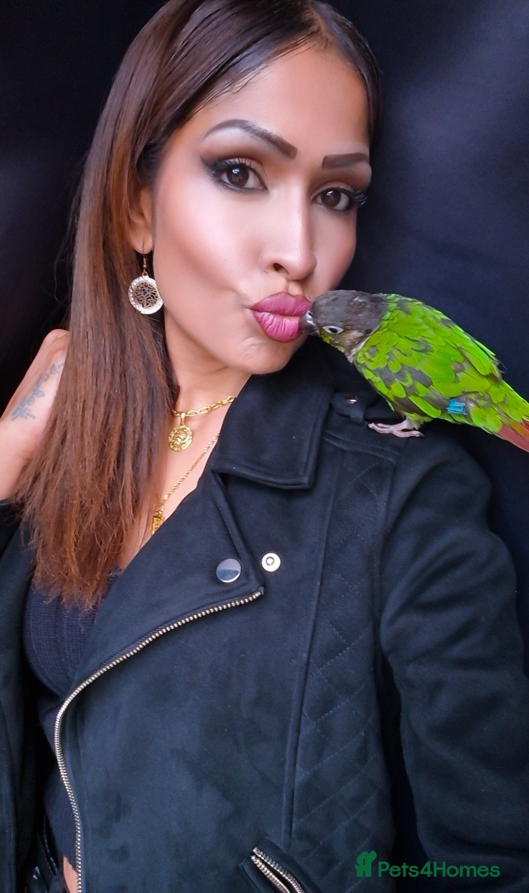 Conures birds Tame male conure 9 months old  - Advert 4