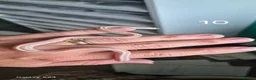 Corn Snake reptiles for sale: Baby corn snakes for sale  - Advert 15