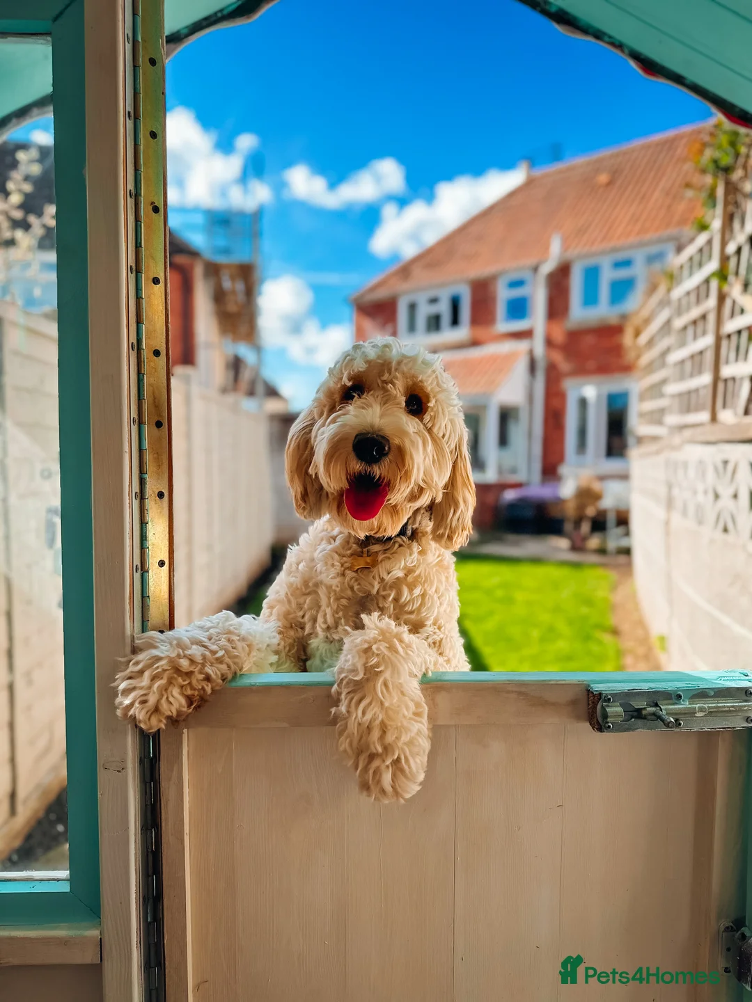 Gallery Image {{count}}