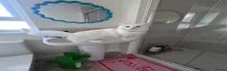 British Longhair cats for sale: 2 beautiful white cats  - Advert 4