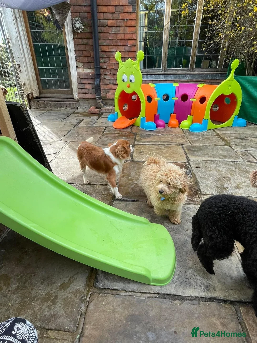 Gallery Image {{count}}