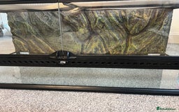 Leopard Gecko reptiles for sale: Exo Terra Terrarium - Full Leopard Gecko Setup - Advert 2