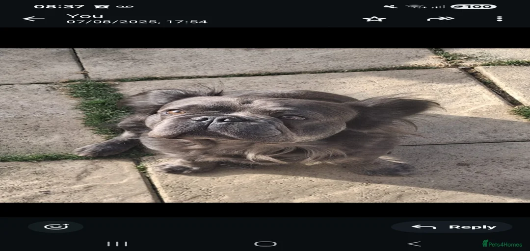 Gallery Image {{count}}