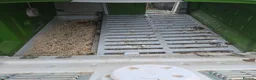 Chickens poultry for sale: 22 chickens and various coops for sale - Advert 11