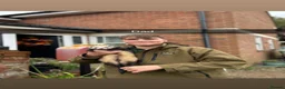Ferret rodents for sale: Male ferret kits for sale  in Oakham - Advert 8