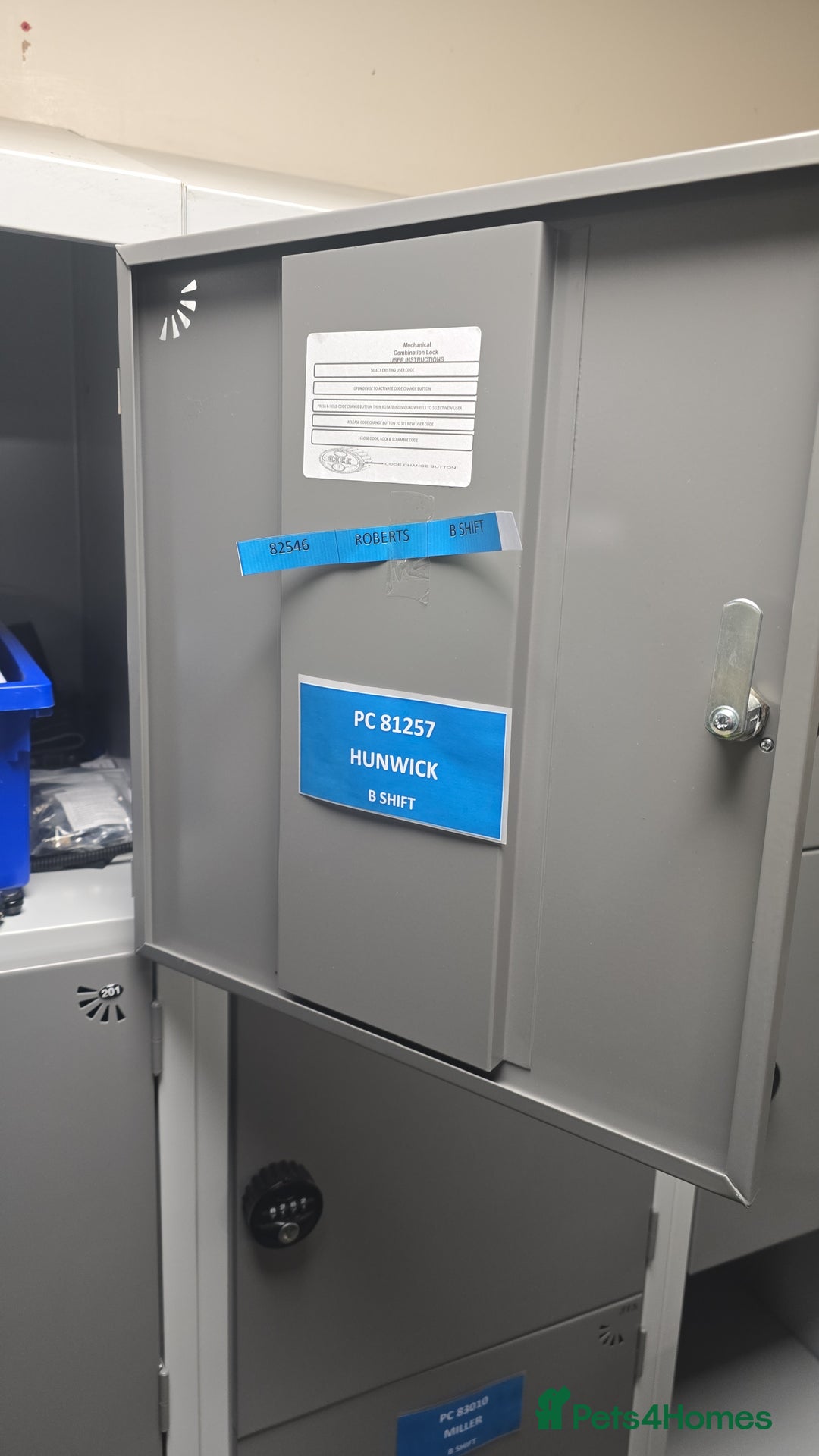 Sprocker dogs for stud: Sprocker Stud Frank  - Advert 2