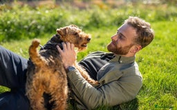 Welsh Terrier dogs for sale: Beautiful Champion Lines KC Welsh Terrier Puppies - Image 18