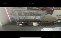 Mixed Breed birds for sale: Bird cage sale   - Image 1