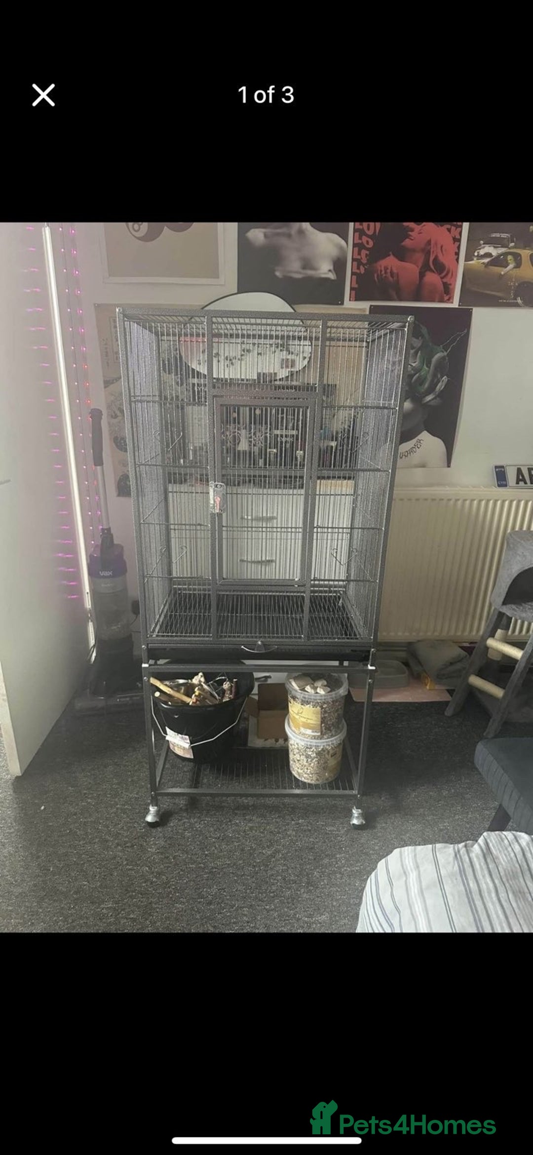 Mixed Breed birds for sale: Bird cage sale   - Image 1