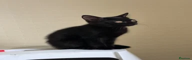 Winnie 