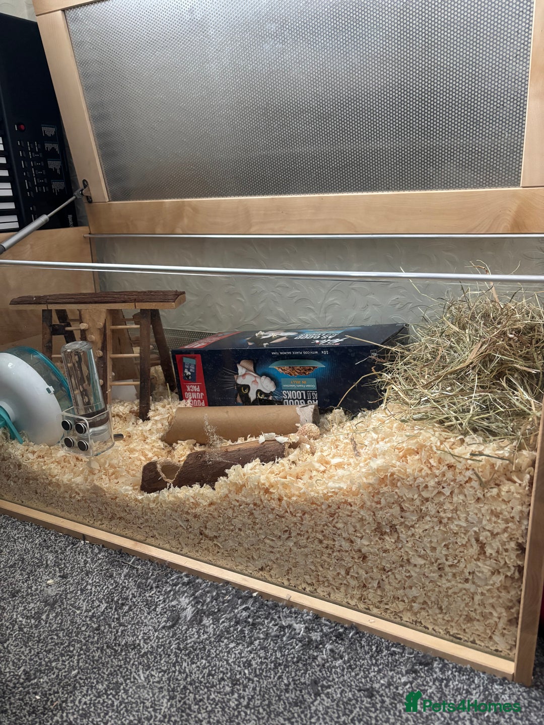 Gerbil rodents for sale: Gerbil for sale  - Image 3