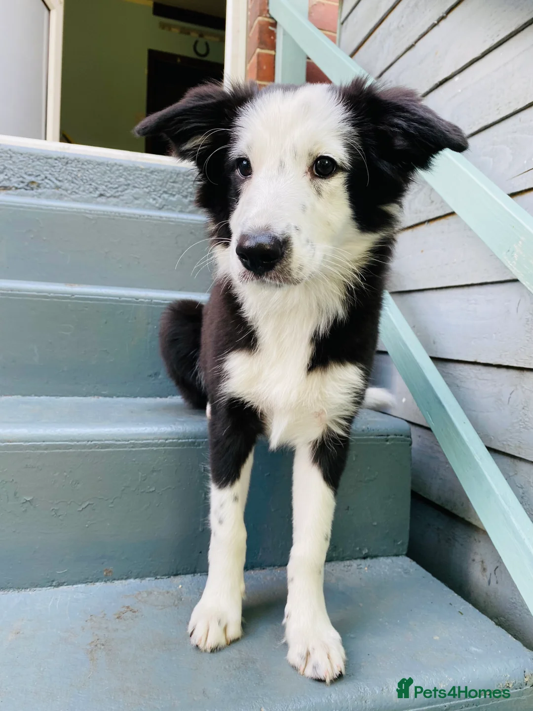 Gallery Image {{count}}