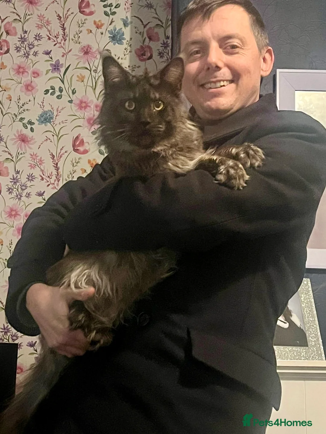 Gallery Image {{count}}