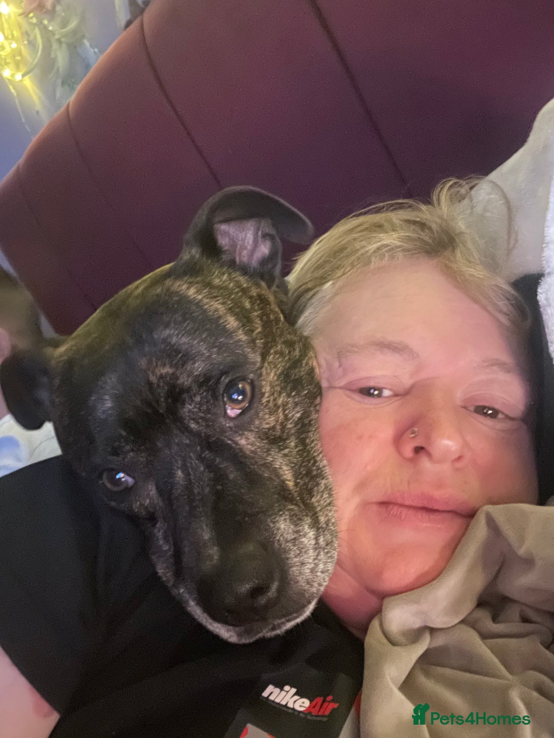 Mixed Breed dogs for sale: Marley - Advert 1