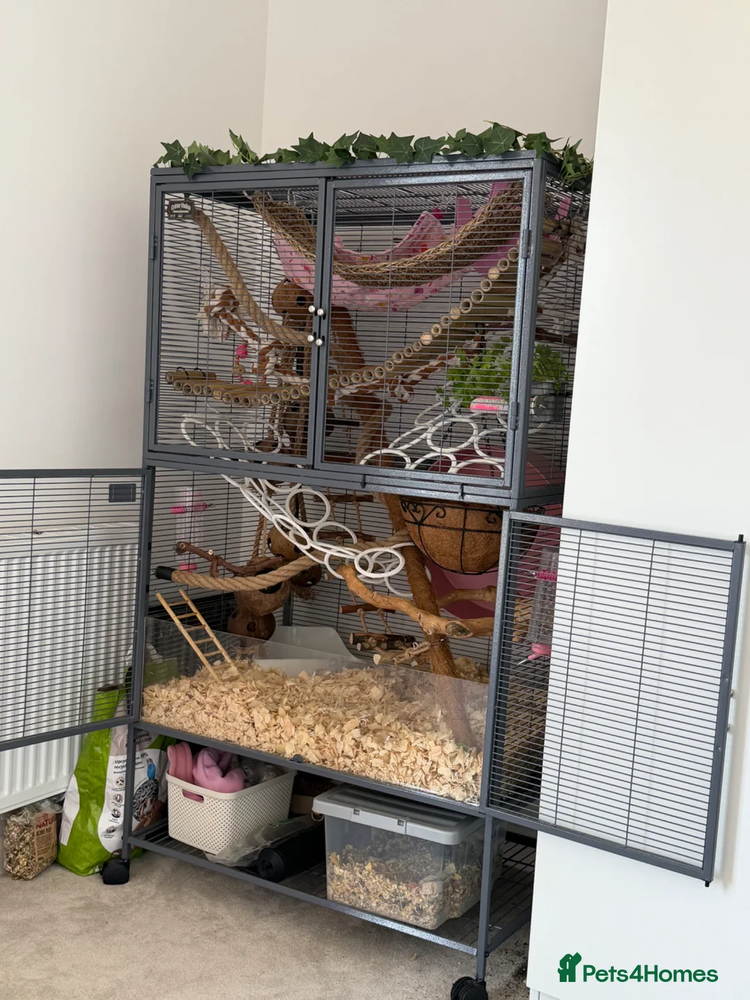 Rat rodents for sale: Double critter nation and large Perspex base  in Liverpool - Advert 3