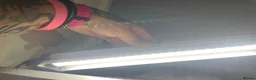 Gecko reptiles for sale: Mourning gecko enclosure and sand gecko enclosure  - Advert 5