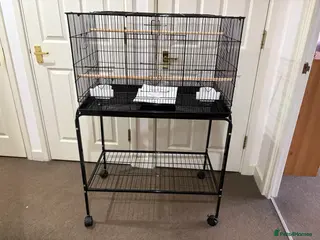 Mixed Breed birds Bird Cage - Advert 6