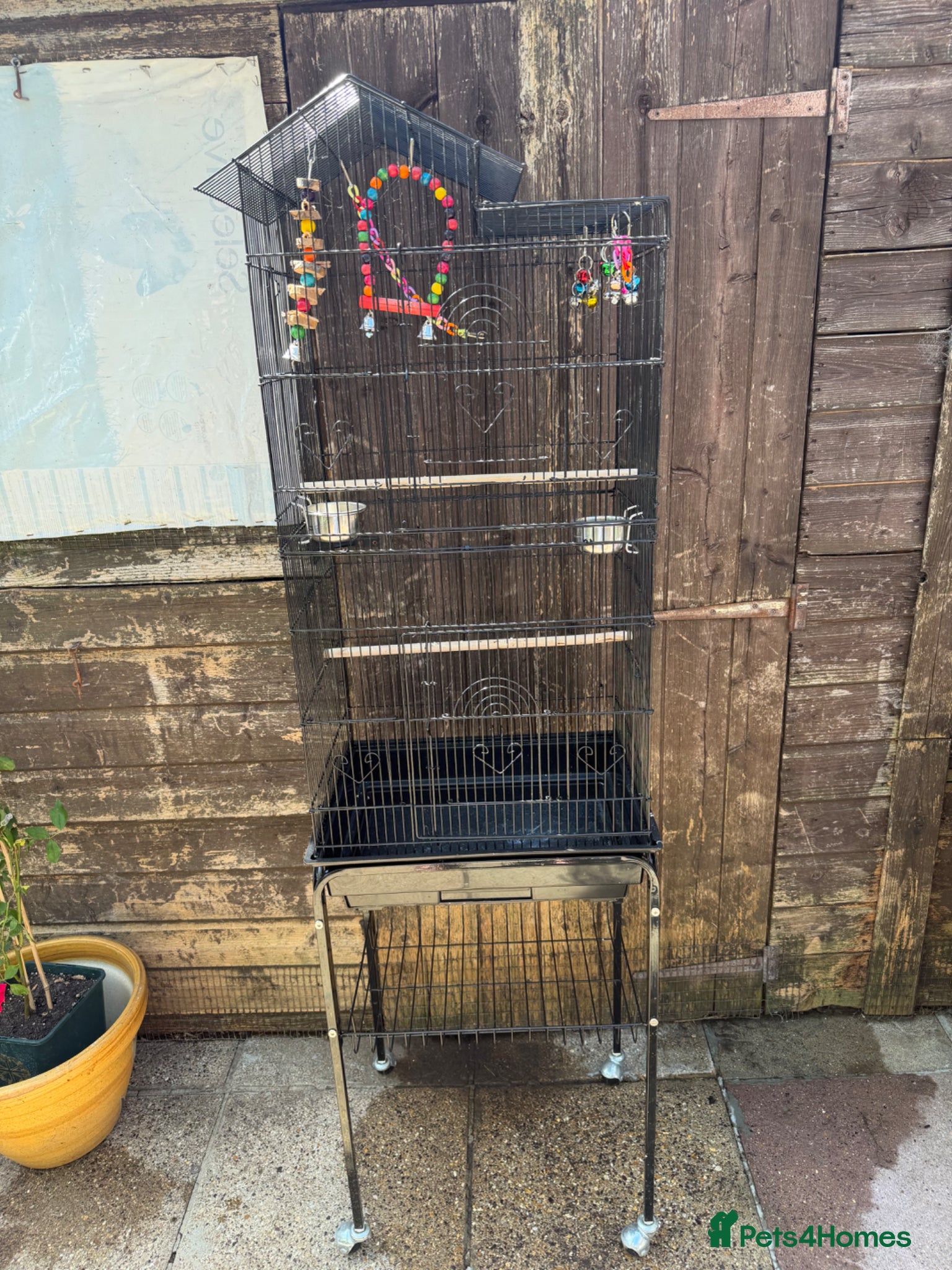 Mixed Breed rodents Large Tall Bird Cage w/ Rolling Stand &Accessories - Advert 2