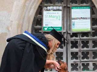 Staffordshire Bull Terrier dogs 2x VET BRED CRUFTS SIRED LITTER DUE MAY - Advert 3