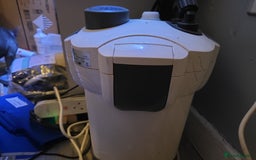 Other/Mixed Breed fish for sale: 4ft fishtank complete setup with stock of fish  - Image 6