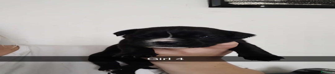 Girl 4 