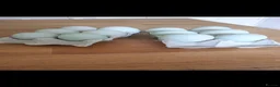 Ducks poultry for sale: Indian runner fertile eggs - Advert 1