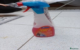 Macaws birds for sale: Blue & Gold Macaw For Sale - Image 27