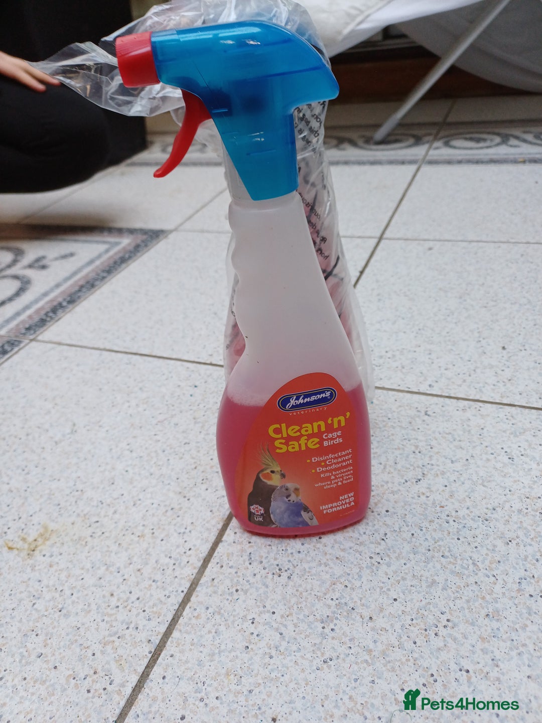 Macaws birds for sale: Blue & Gold Macaw For Sale - Image 27