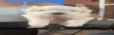 Rico