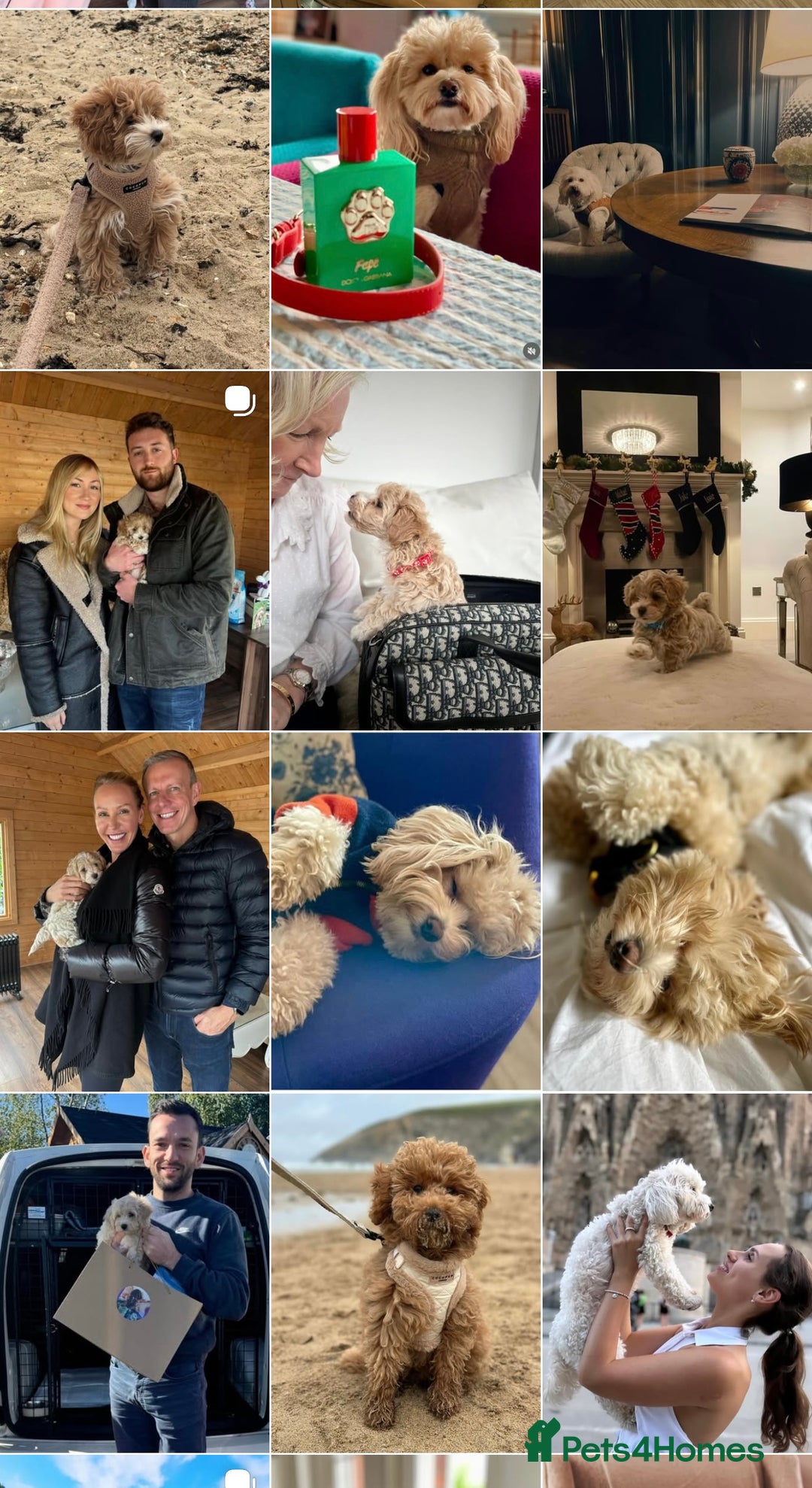 Gallery Image {{count}}