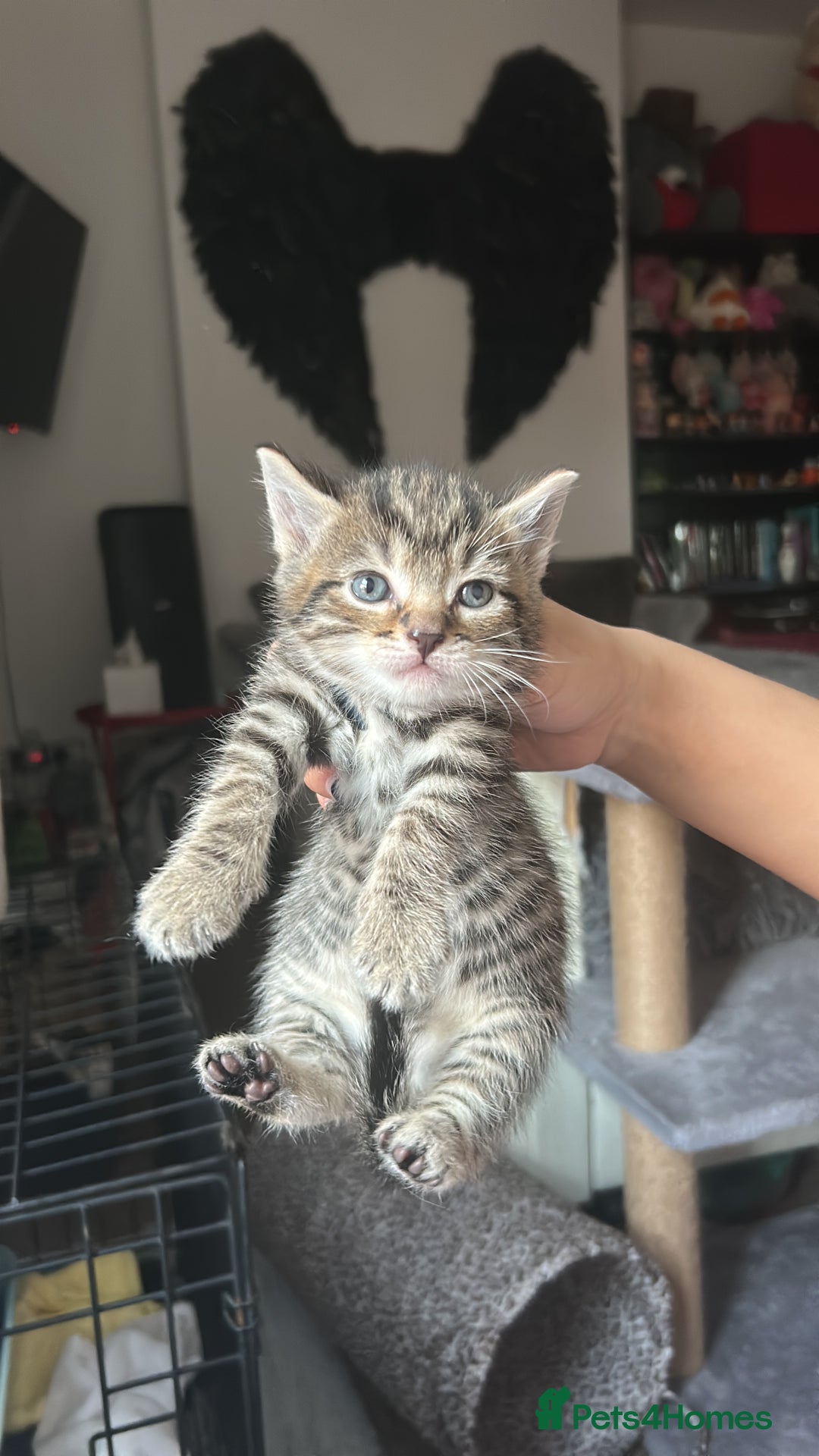 Gallery Image {{count}}